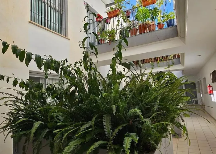 Suite Trinidad Centro